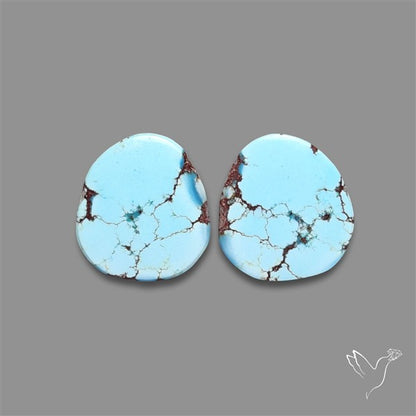 Rare Golden Hill Turquoise Pair