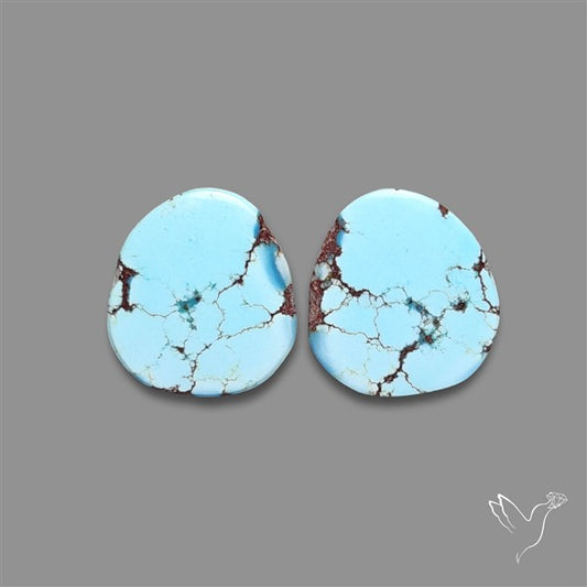 Rare Golden Hill Turquoise Pair