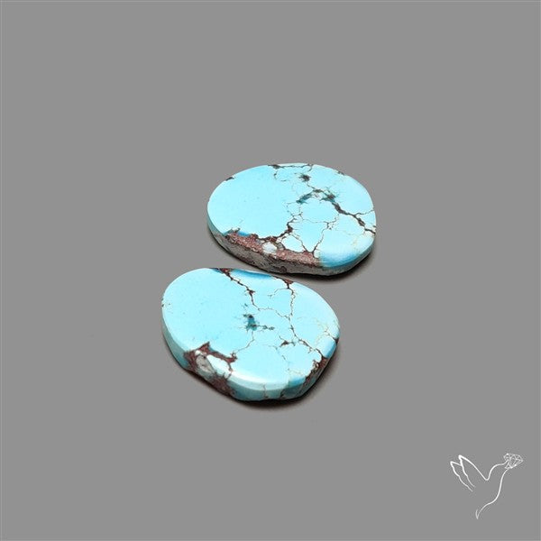 Rare Golden Hill Turquoise Pair