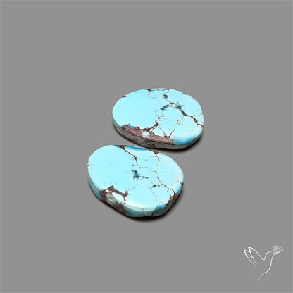 Rare Golden Hill Turquoise Pair
