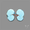 Rare Golden Hill Turquoise Pair