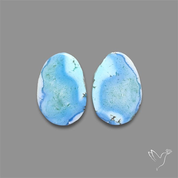 Rare Golden Hill Turquoise Pair