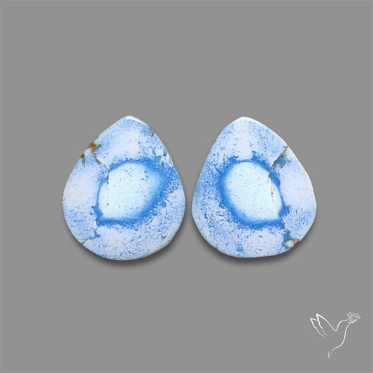 Rare Golden Hill Turquoise Pair
