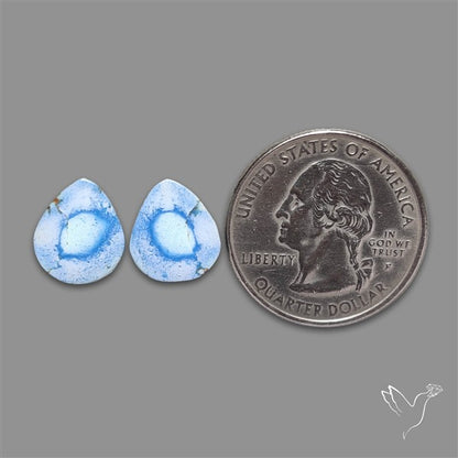 Rare Golden Hill Turquoise Pair