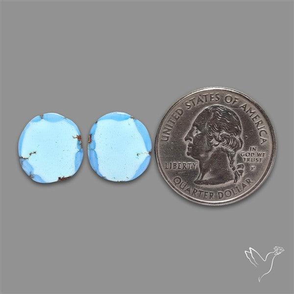 Rare Golden Hill Turquoise Pair