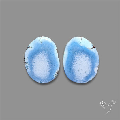 Rare Golden Hill Turquoise Pair