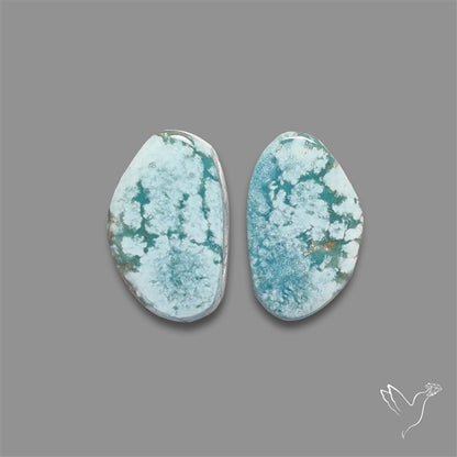 Rare Golden Hill Turquoise Pair