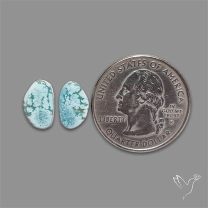 Rare Golden Hill Turquoise Pair