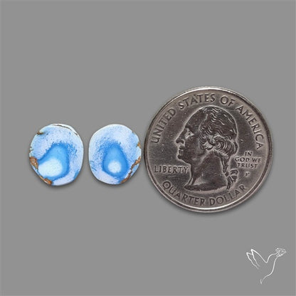 Rare Golden Hill Turquoise Pair