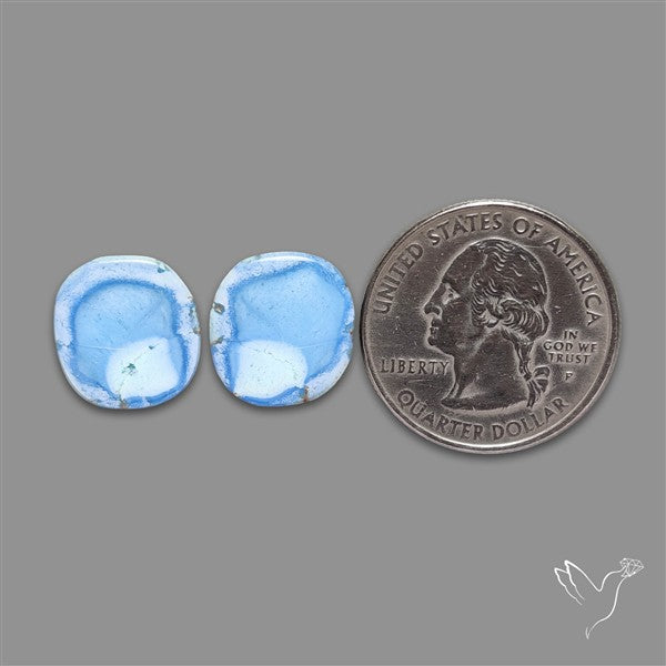 Rare Golden Hill Turquoise Pair