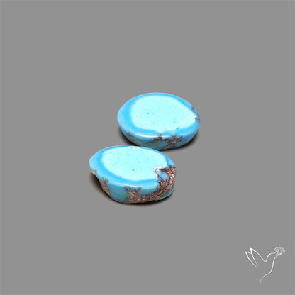Rare Golden Hill Turquoise Pair