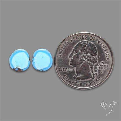 Rare Golden Hill Turquoise Pair