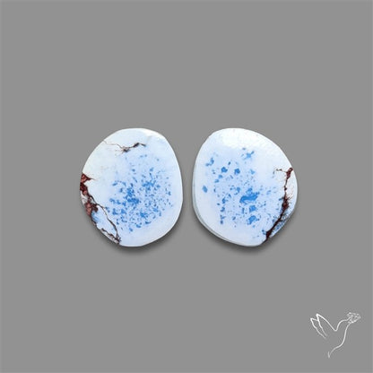 Rare Golden Hill Turquoise Pair
