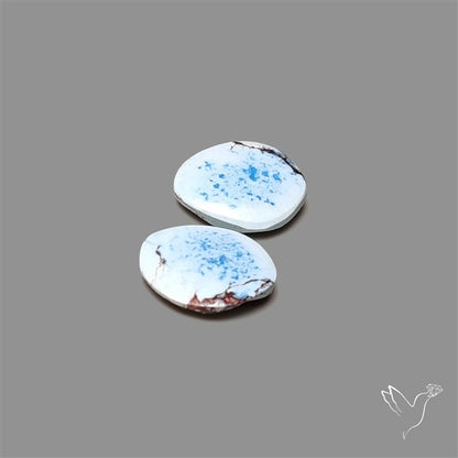 Rare Golden Hill Turquoise Pair