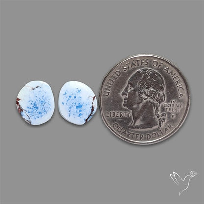 Rare Golden Hill Turquoise Pair