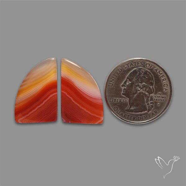 Lake Superior Agate Pair