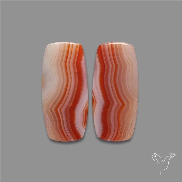 Lake Superior Agate Pair