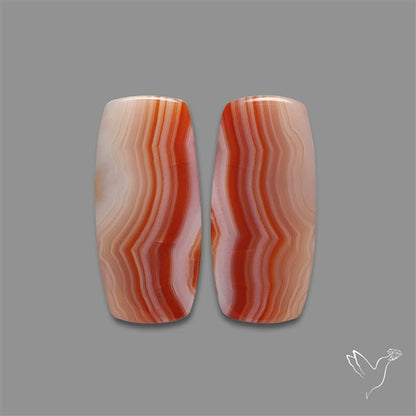 Lake Superior Agate Pair