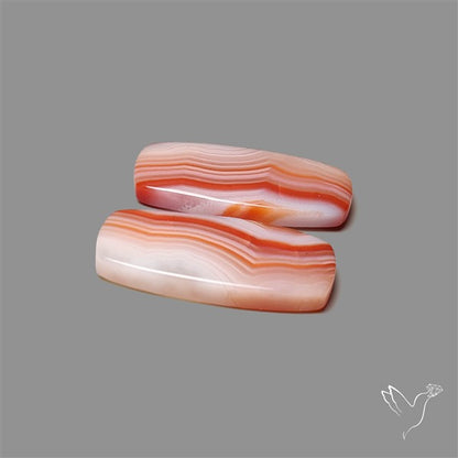 Lake Superior Agate Pair