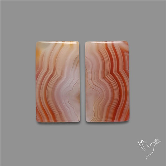 Lake Superior Agate Pair