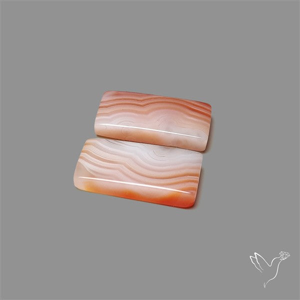 Lake Superior Agate Pair