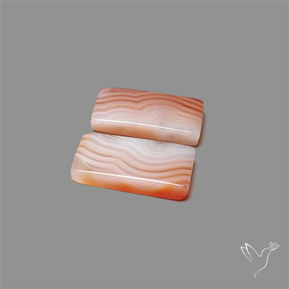 Lake Superior Agate Pair