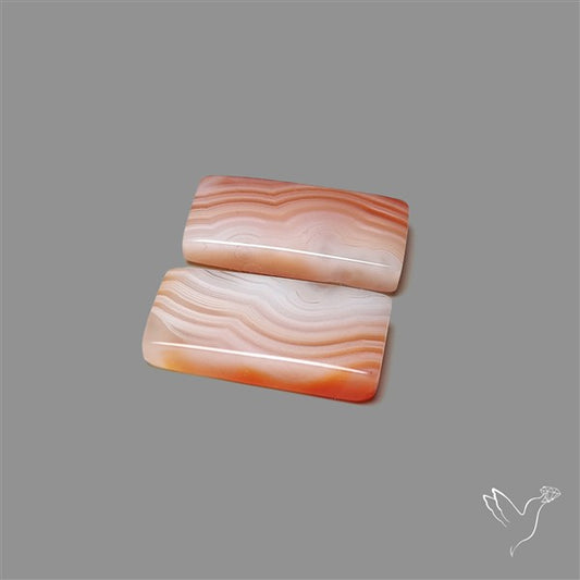 Lake Superior Agate Pair