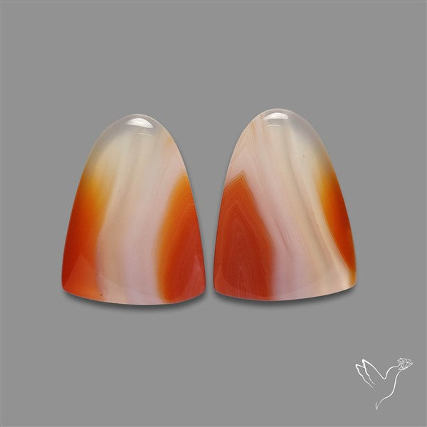 Lake Superior Agate Pair