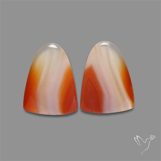 Lake Superior Agate Pair