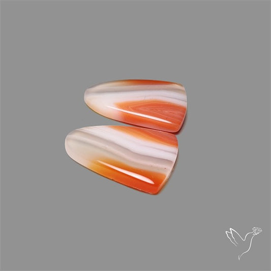 Lake Superior Agate Pair