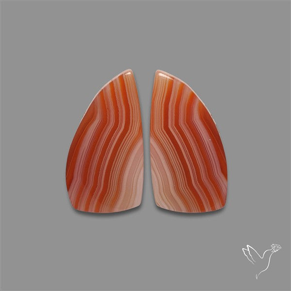 Lake Superior Agate Pair