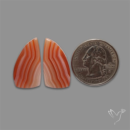 Lake Superior Agate Pair