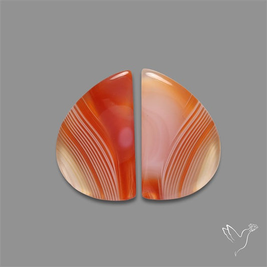 Lake Superior Agate Pair