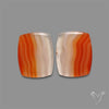 Lake Superior Agate Pair