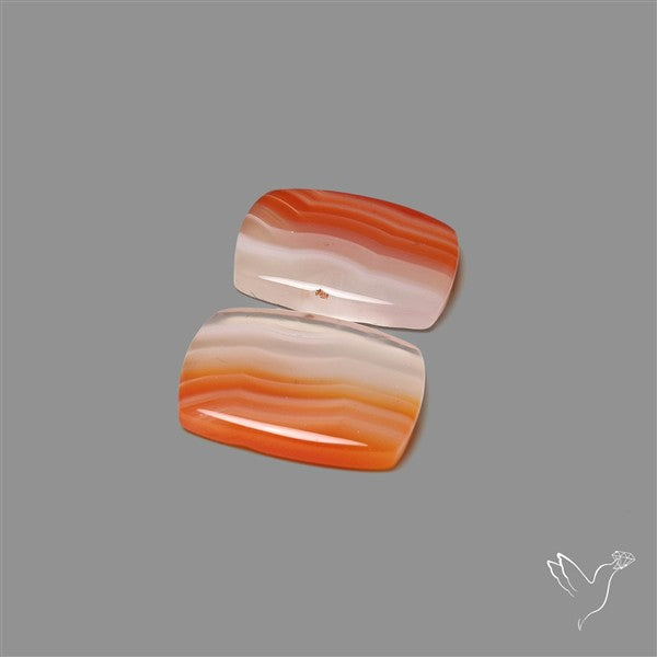 Lake Superior Agate Pair