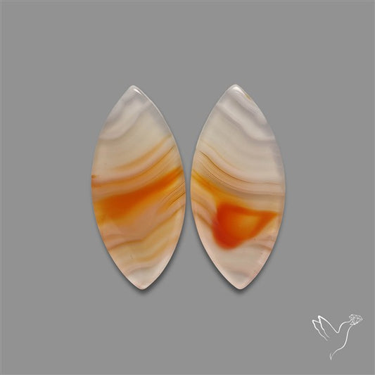 Lake Superior Agate Pair