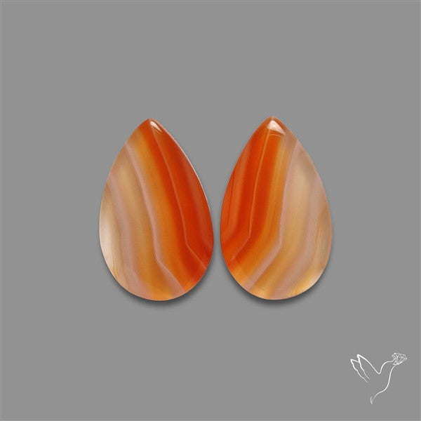 Lake Superior Agate Pair