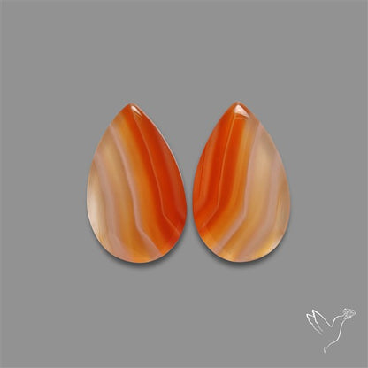 Lake Superior Agate Pair