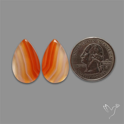 Lake Superior Agate Pair