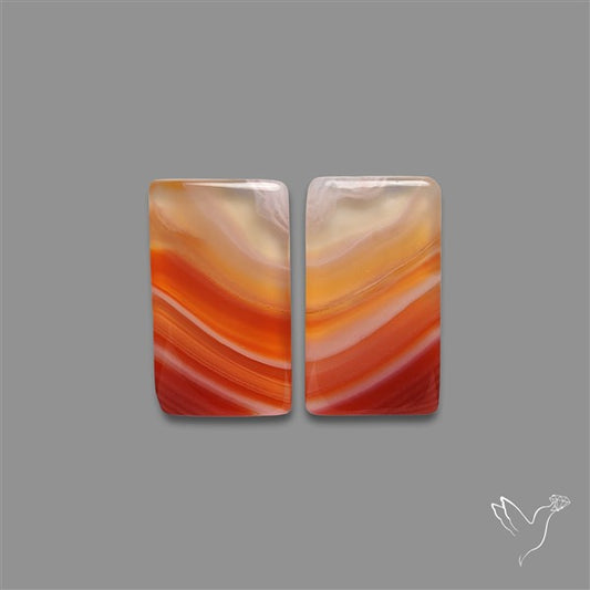 Lake Superior Agate Pair