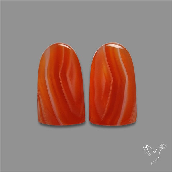 Lake Superior Agate Pair