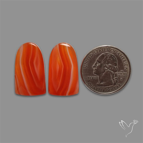 Lake Superior Agate Pair