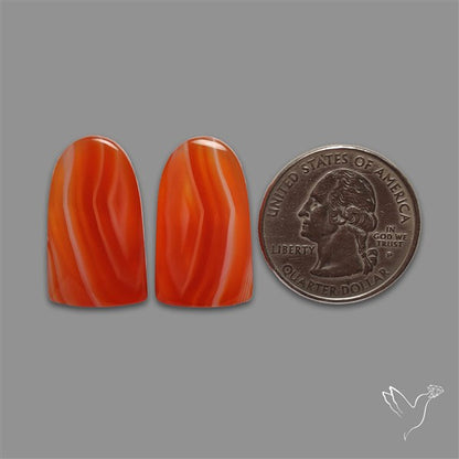 Lake Superior Agate Pair