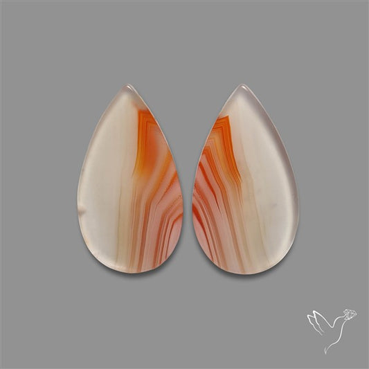 Lake Superior Agate Pair