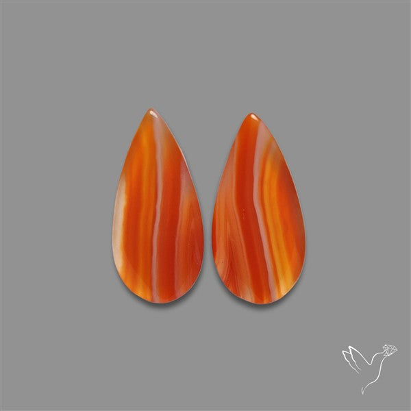 Lake Superior Agate Pair
