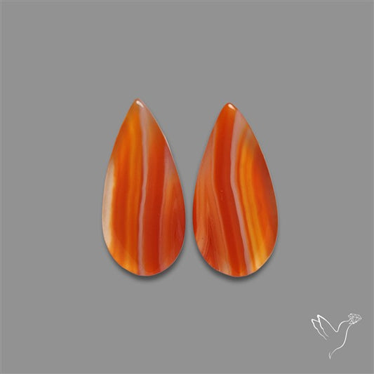 Lake Superior Agate Pair