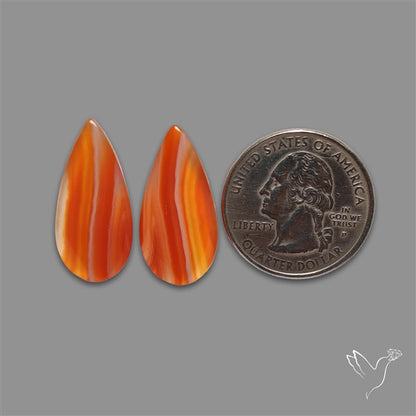 Lake Superior Agate Pair