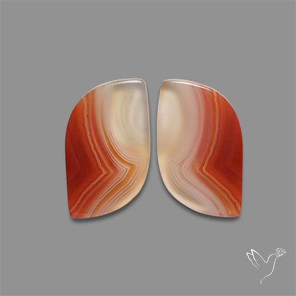 Lake Superior Agate Pair