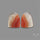 Lake Superior Agate Pair