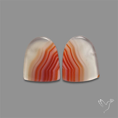 Lake Superior Agate Pair